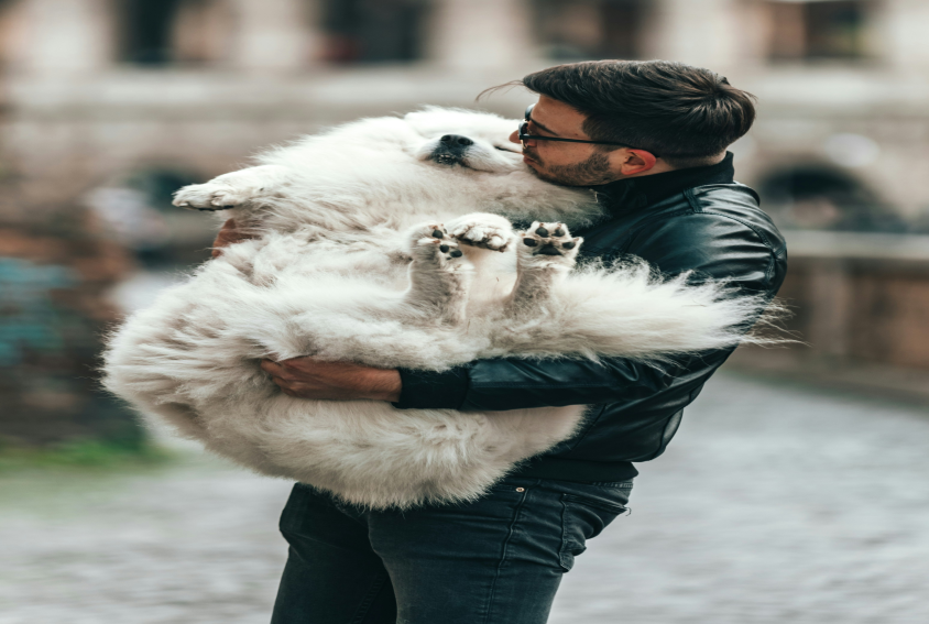 Man hugging his dog